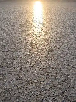 The cracked playa surface of the Alvord Desert