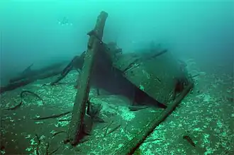 America Shipwreck (Canaller)