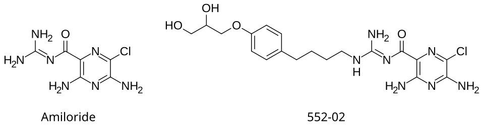 Side-by-side comparison of the chemical structures of amiloride and one of its analogues, research name 552-02 (N-(3,5-diamino-6-chloropyrazine-2-carbonyl)-N'-4-[4-(2,3-dihydroxypropoxy)phenyl]butyl-guanidine methanesulfonate).
