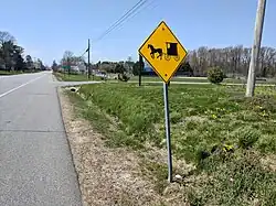 Amish horse and buggy warning sign, April 2018