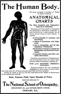 The National School of Osteopathy