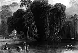 A Hindu temple and pond associated with it in Kerala.