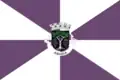 Flag of Anadia