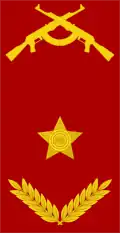 Brigadeiro (Angolan Army)[4]