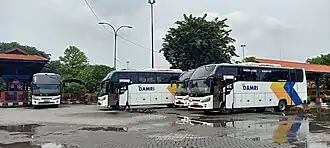 Queue of integrated bus modes (airport–bus terminal) owned by Perum DAMRI using medium bus units with Mercedes-Benz OF 917 L chassis and Piala Mas body assembly at Purabaya Terminal, 11 March 2022.