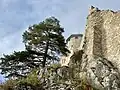 Araburg ruins