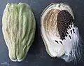 Inside fruit