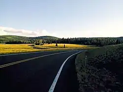 White Mountains (Arizona)