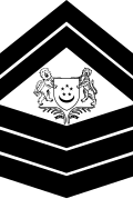 Staff sergeant (Singapore Army)[47]