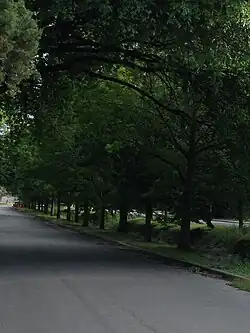 Arroyo Seco