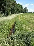 The Aue near Ahrenswohlde