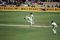 Brett Lee bowling (photo 5 of 5).
