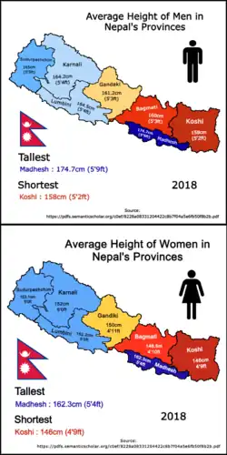 Average Height of Nepalese Men and Women in every Province