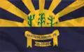 Flag of Santa Filomena