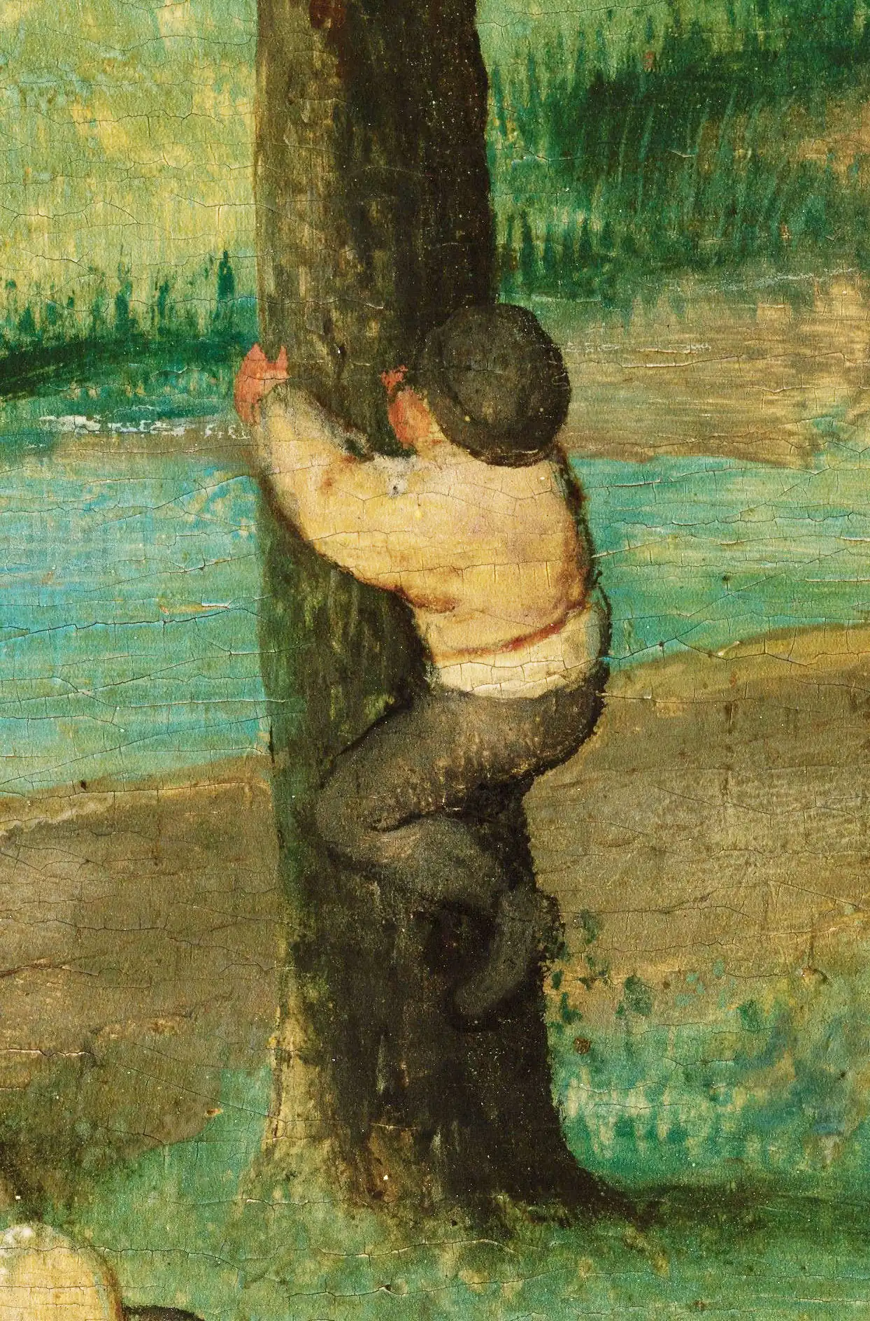 Climbing a tree