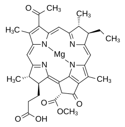 2D representation of the chemical structure of Q27155459.