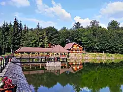 Lake view