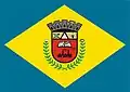 Flag of Pitangui