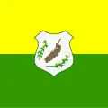 Flag of Serra de Pereiro