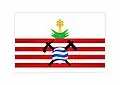 Flag of Campo Formoso