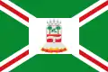Flag of Barra do Bugres, Mato Grosso