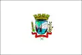 Flag of Humaitá