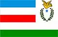 Flag of Juruti