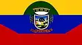 Flag of São João do Polêsine