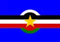 Flag of São Roberto