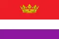 Flag of Aldea Real