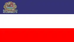 Flag of Tinaco Municipality