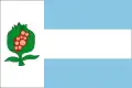 Flag of Cájar, Spain