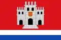 Flag of Montemayor
