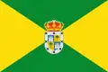 Flag of Nava de la Asunción