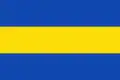 Flag of Pajaroncillo