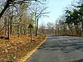 Bandipur Tiger Reserve