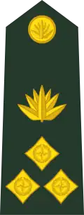 Brigadier general (Bengali: ব্রিগেডিয়ার জেনারেল, romanized:&nbsp;Brigēḍiẏāra jēnārēla) (Bangladesh Army)[10]