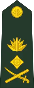 Lieutenant general লেফটেন্যান্ট জেনারেল[8] (Bangladesh Army)