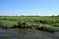 Bure Broads and Marshes