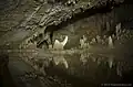 Image 7Barton Creek Cave (from Tourism in Belize)