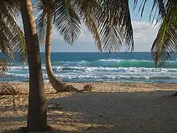 Image 24Beach on the Caribbean side of Isla Mujeres (from Tourism in Latin America and the Caribbean)