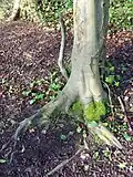Habitat.Ireland.