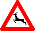 A27: Deer crossing