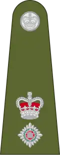 Lieutenant-Colonel