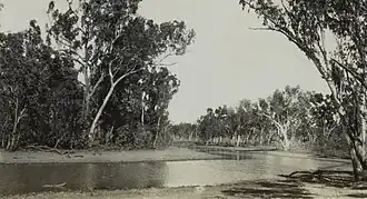 Bend in the river at Wrotham Park