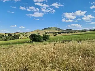 Berremangra Hill in 2020