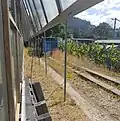 Big Banana Train Set