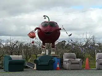 The "Big Cherry" at Wyuna