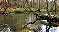 Bille in the Billetal nature reserve in the Sachsenwald