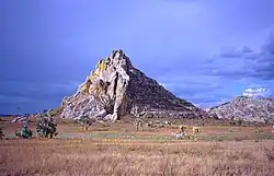 Grassy plain with isolated palms and a rocky outcrop in the background